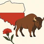 תמונה לקישוט